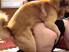 Excited K9 goes balls unfathomable in this animal sex curious bulky slut in this xxx bestiality flick